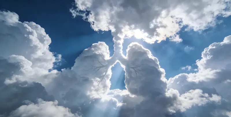 葫芦岛肺癌靶向39基因检测及PDL122C3表达检测套餐（组织）图片1